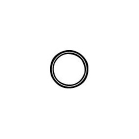 Dichtring, Abgasrohr DD-117 von VEGAZ günstig für 7,16 € online kaufen