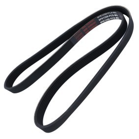 Keilrippenriemen 6PK1250-PCS-MS von MASTER-SPORT günstig für 9,03 € online kaufen