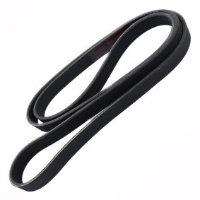 Keilrippenriemen 6PK1743-PCS-MS von MASTER-SPORT günstig für 15,92 € online kaufen
