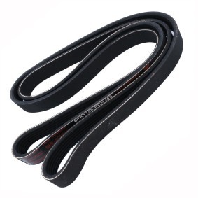 Achetez des Courroie Poly-V MASTER-SPORT 6PK1748-PCS-MS à prix pour 14,06 €