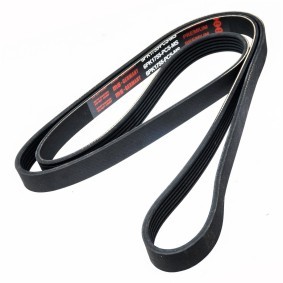 Keilrippenriemen 6PK1755-PCS-MS von MASTER-SPORT günstig für 15,80 € online kaufen