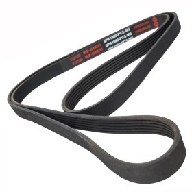 Keilrippenriemen 6PK1880-PCS-MS von MASTER-SPORT günstig für 18,33 € online kaufen