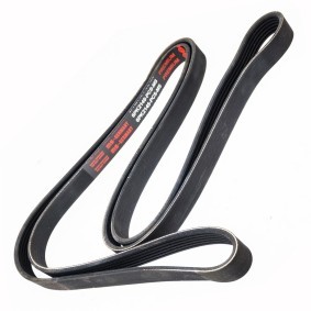 Keilrippenriemen 6PK2145-PCS-MS von MASTER-SPORT günstig für 22,16 € online kaufen