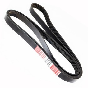 Keilrippenriemen 6PK2215-PCS-MS von MASTER-SPORT günstig für 21,00 € online kaufen