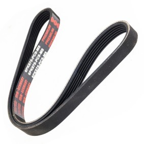Keilrippenriemen 6PK875-PCS-MS von MASTER-SPORT günstig für 9,54 € online kaufen