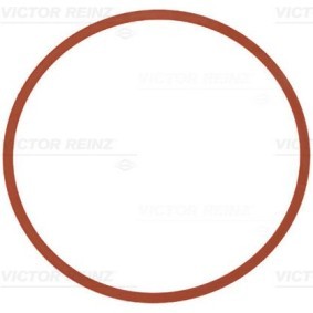 Compre Junta de coletor de admissão de REINZ online para X2 (F39) a preços moderados