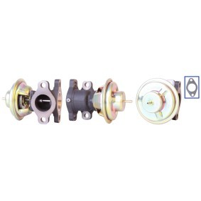 Achetez des Vanne EGR de chez DRI en ligne pour Boxer Minibus (230, 230P) à prix modérés