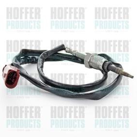 Achetez des Palpeur, température des gaz HOFFER 7452327 à prix pour 113,57 €