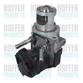Compre Válvula EGR da HOFFER 7518254R a um preço baixo por 131,05 €
