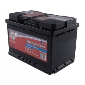 Acquista Batteria da MASTER-SPORT 780787202 a buon mercato per soli 107,59 €