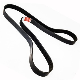 Keilrippenriemen 7PK1580-PCS-MS von MASTER-SPORT günstig für 9,12 € online kaufen
