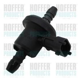 Acquista Valvola ventilazione / sfiato, Serbatoio carburante da HOFFER 8029479 a buon mercato per soli 44,57 €