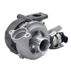 Achetez des Turbocompresseur MAGNETI MARELLI 807101002700 à prix pour 471,65 €