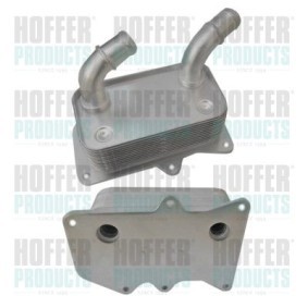 Acquista Radiatore olio motore da HOFFER 8095145 a buon mercato per soli 119,27 €