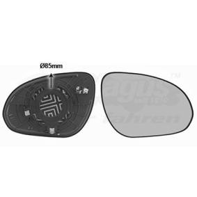 Spiegelglas, Außenspiegel 8207838 von VAN WEZEL günstig für 20,05 € online kaufen