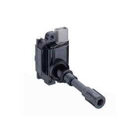 Zündspule 85.30291 von SIDAT günstig für 76,23 € online kaufen