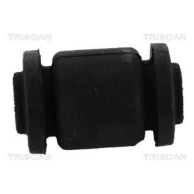 Compre Suspensão, braço oscilante da TRISCAN 8500 13835 a um preço baixo por 14,81 €