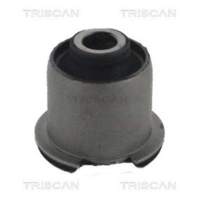 Compre Suspensão, braço oscilante da TRISCAN 8500 17803 a um preço baixo por 14,10 €