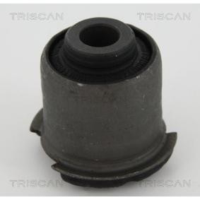 Compre Suspensão, braço oscilante da TRISCAN 8500 17806 a um preço baixo por 17,04 €