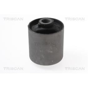Compre Suspensão, braço oscilante da TRISCAN 8500 17807 a um preço baixo por 19,49 €