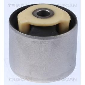 Compre Suspensão, braço oscilante da TRISCAN 8500 17810 a um preço baixo por 20,29 €