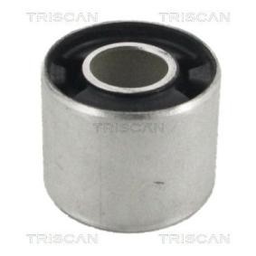 Compre Suspensão, braço oscilante da TRISCAN 8500 23889 a um preço baixo por 18,88 €