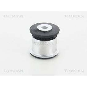 Compre Suspensão, braço oscilante da TRISCAN 8500 23890 a um preço baixo por 15,79 €