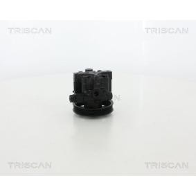 Compre Bomba de direção da TRISCAN 8515 21600 a um preço baixo por 180,78 €