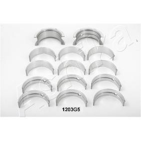 Compre Chumaceira da cambota de ASHIKA online para Patrol GR IV SUV (Y60, GR) a preços moderados