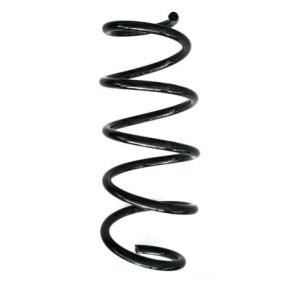 Fahrwerksfeder 86894 von SPIDAN günstig für 66,04 € online kaufen