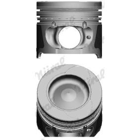 Compre Êmbolo da NÜRAL 87-123407-50 a um preço baixo por 94,42 €