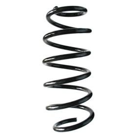 Fahrwerksfeder 87023 von SPIDAN günstig für 50,90 € online kaufen