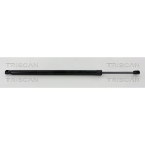 Heckklappendämpfer 8710 17222 von TRISCAN günstig für 17,60 € online kaufen