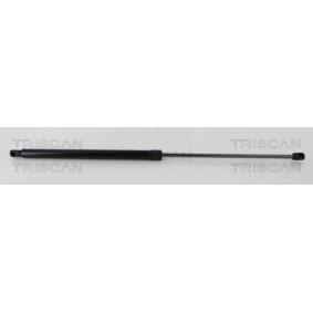 Heckklappendämpfer 8710 17223 von TRISCAN günstig für 35,55 € online kaufen