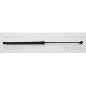 Gasfeder, Heckscheibe 8710 38244 von TRISCAN günstig für 23,19 € online kaufen