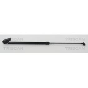 Heckklappendämpfer 8710 68219 von TRISCAN günstig für 25,92 € online kaufen