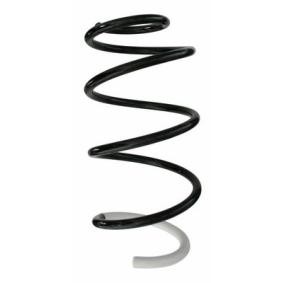 Fahrwerksfeder 87250 von SPIDAN günstig für 69,34 € online kaufen