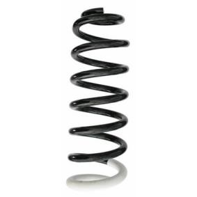 Fahrwerksfeder 87388 von SPIDAN günstig für 48,95 € online kaufen