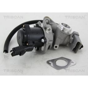 AGR-Ventil 8813 16034 von TRISCAN günstig für 133,68 € online kaufen