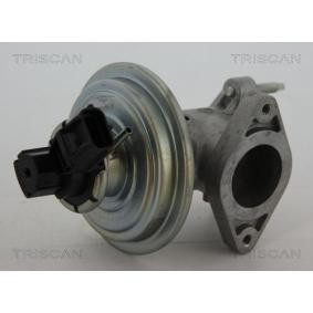 AGR-Ventil 8813 16043 von TRISCAN günstig für 107,24 € online kaufen