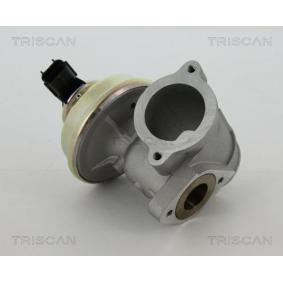 AGR-Ventil 8813 16102 von TRISCAN günstig für 118,01 € online kaufen