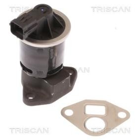 Compre Válvula EGR da TRISCAN 8813 21004 a um preço baixo por 189,57 €