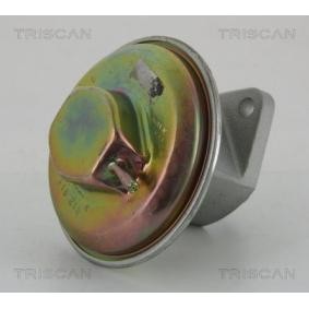 Compre Válvula EGR da TRISCAN 8813 21007 a um preço baixo por 102,06 €