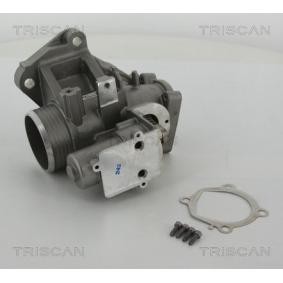 Compre Válvula EGR da TRISCAN 8813 27103 a um preço baixo por 402,16 €