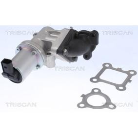 Achetez des Vanne EGR TRISCAN 8813 43200 à prix pour 145,92 €