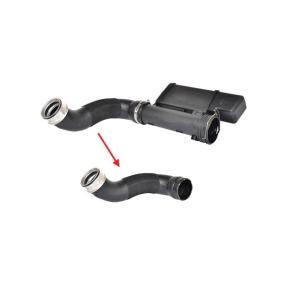 Compre Tubo flexível do ar de sobrealimentação da BUGIAD 88594 a um preço baixo por 43,01 €