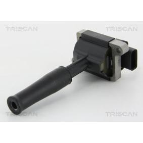 Köp Tändspole av TRISCAN 8860 10030 till det låga priset 1248,49 kr