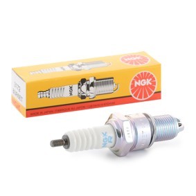 Zündkerze 3172 von NGK günstig für 6,68 € online kaufen
