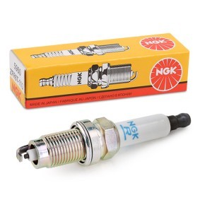 Zündkerze 5960 von NGK günstig für 6,77 € online kaufen