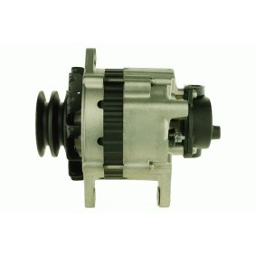 Comprar Alternador de ROTOVIS Automotive Electrics 9090019 a bajo precio de 107,99 €